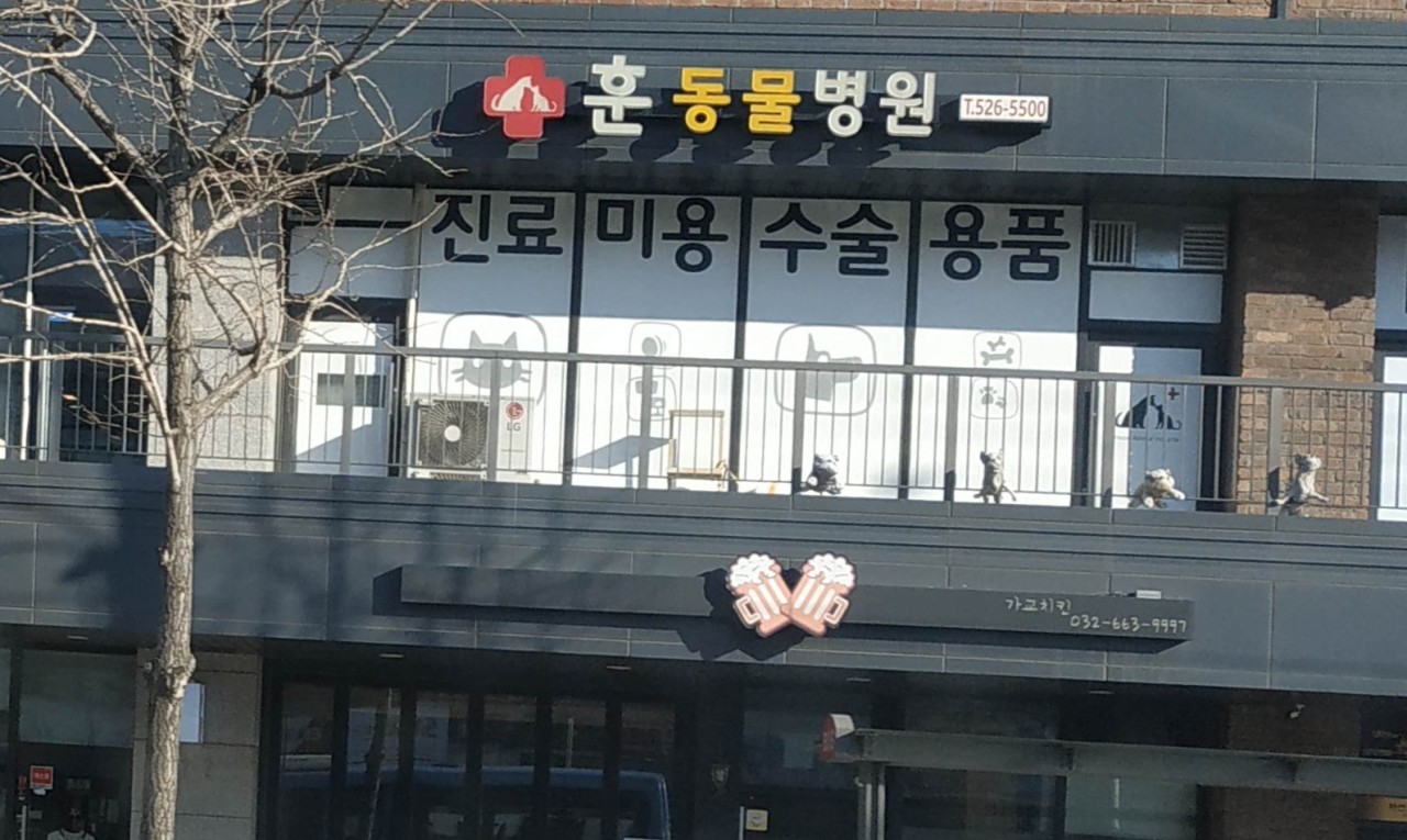 동물병원 외관