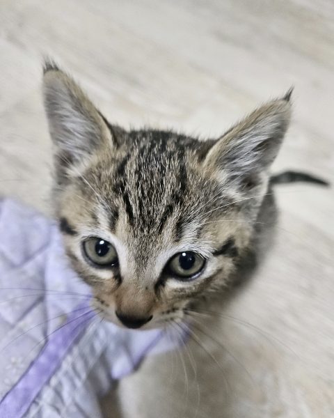 멜랑메롱호이님의 진료 후기 이미지 1
