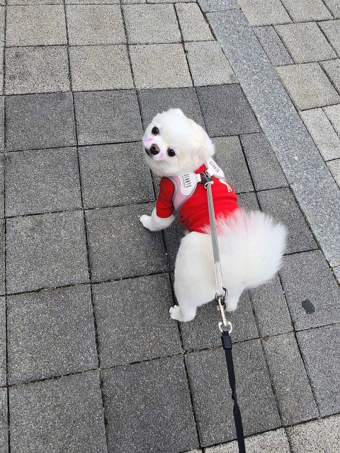 스타34님의 진료 후기 이미지 2