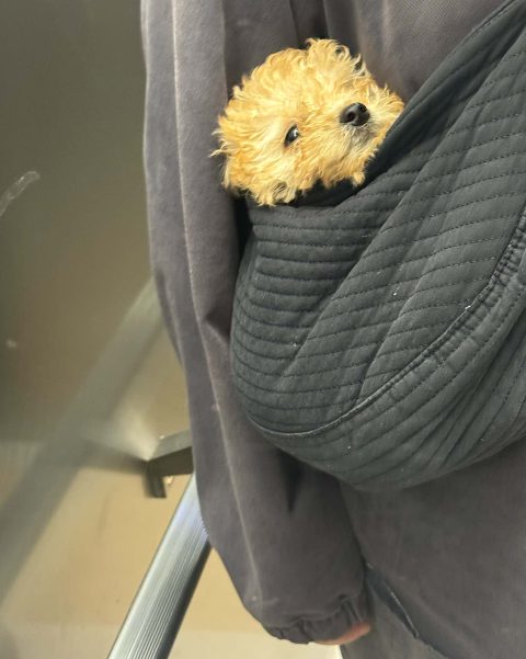 재원441님의 진료 후기 이미지 2