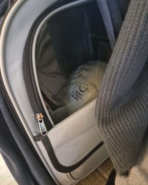 앵8117님의 진료 후기 이미지 2