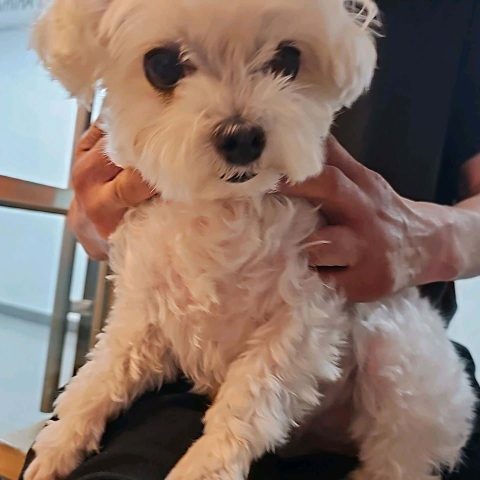 아리엘4039님의 진료 후기 이미지 2