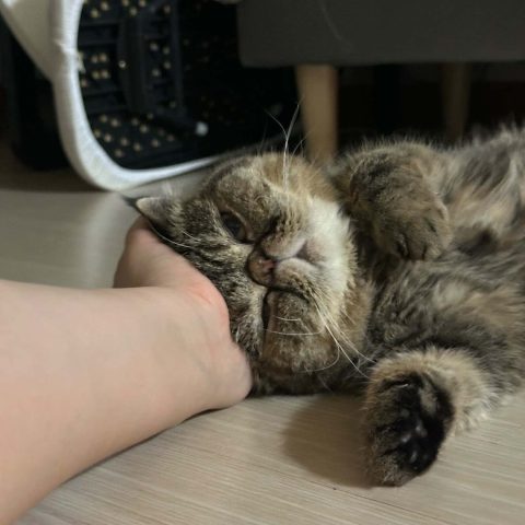 서로42님의 진료 후기 이미지 2