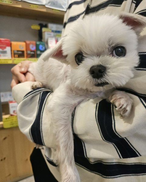 강율맘34님의 진료 후기 이미지 1