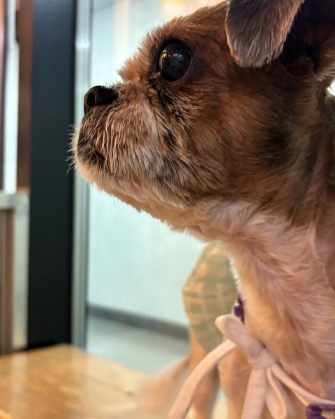 애옹사냥꾼님의 진료 후기 이미지 1