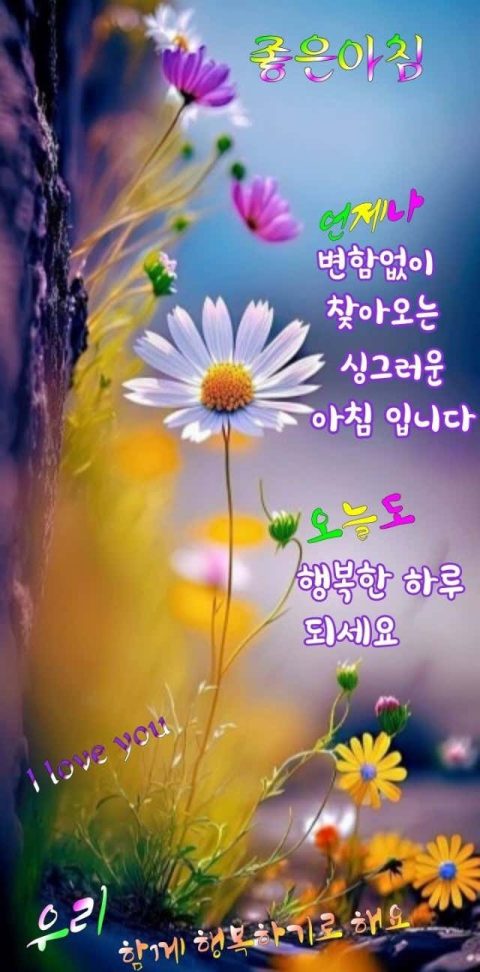 홍감사해님의 진료 후기 이미지 2