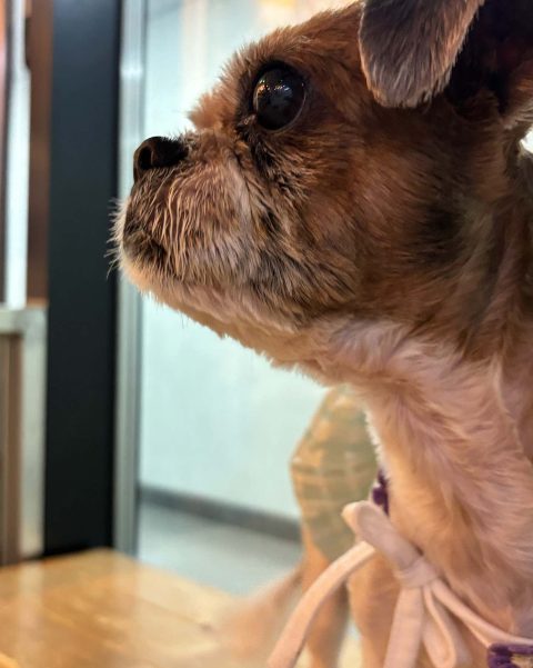 애옹사냥꾼님의 진료 후기 이미지 2