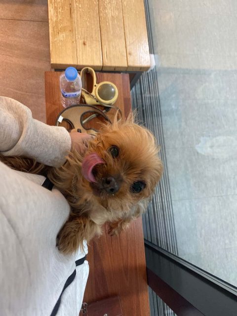 Sol12345님의 진료 후기 이미지 2