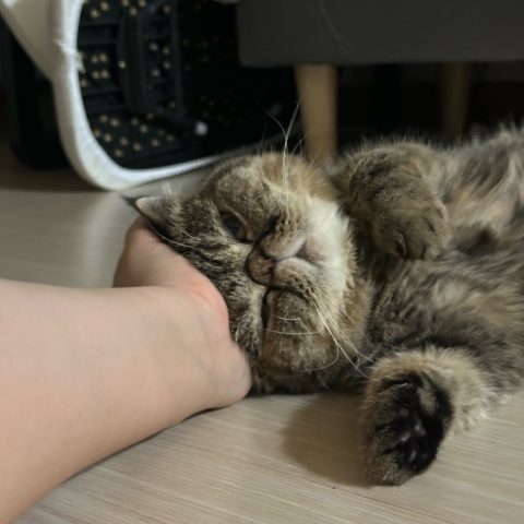 서로42님의 진료 후기 이미지 1