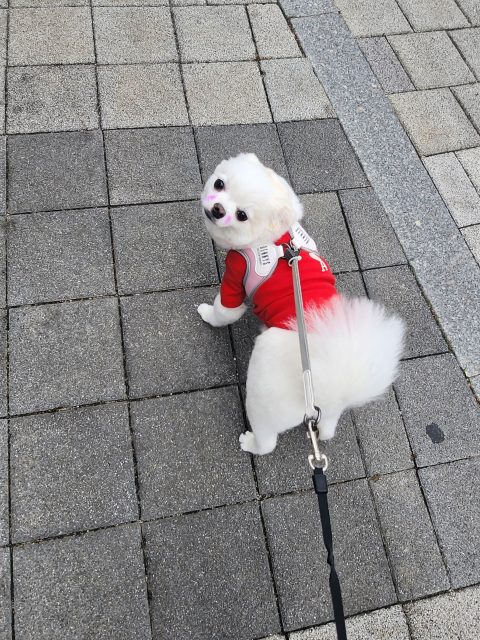 스타34님의 진료 후기 이미지 1
