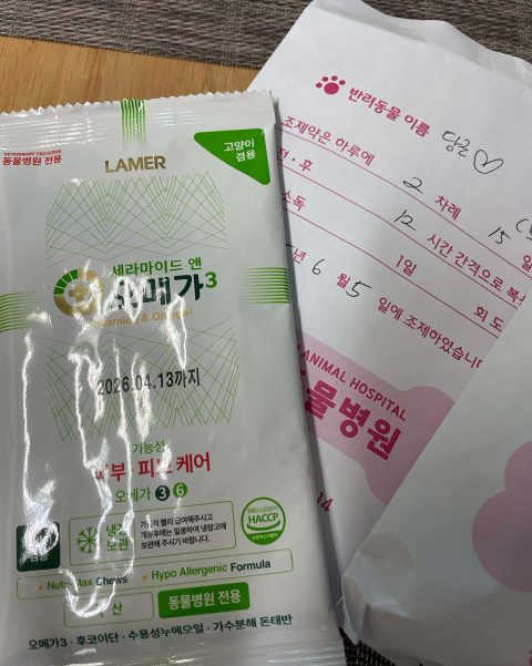 정인286님의 진료 후기 이미지 2