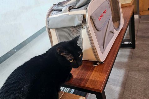 sar****님의 진료 후기 이미지 4