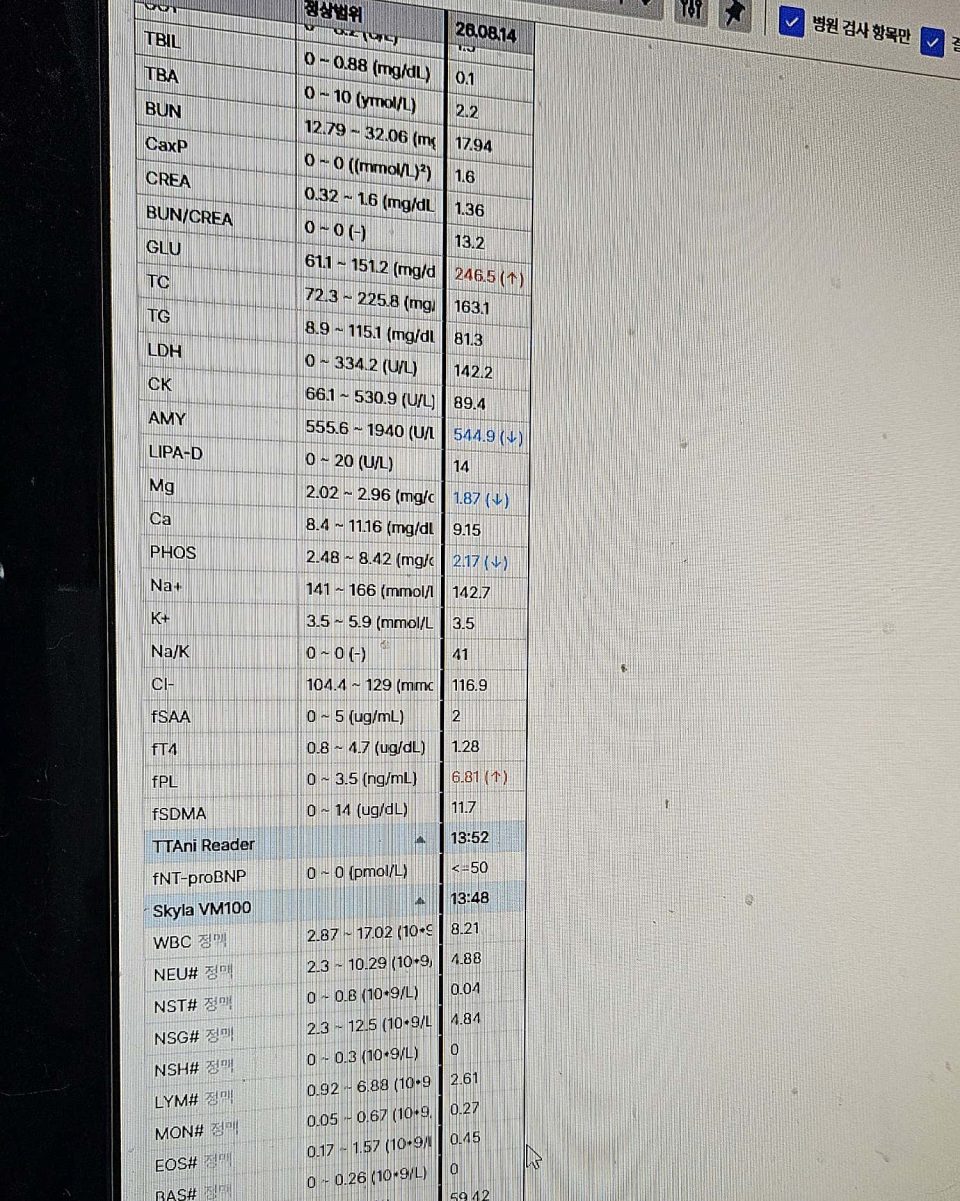 얼그레이3978님의 진료 후기 이미지 2